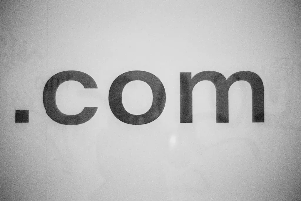 Domain vs Hosting: Apa Perbedaannya dan Mengapa Keduanya Penting untuk Website Anda? 1 a black and white photo of the word comm